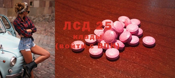 spice Краснослободск