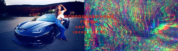 spice Краснослободск