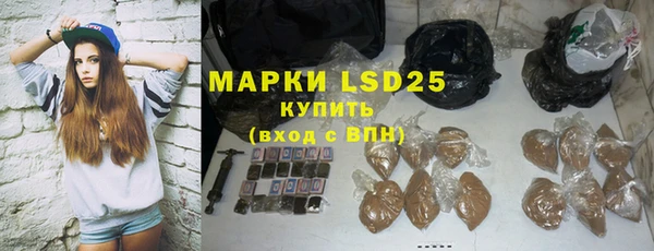 spice Краснослободск