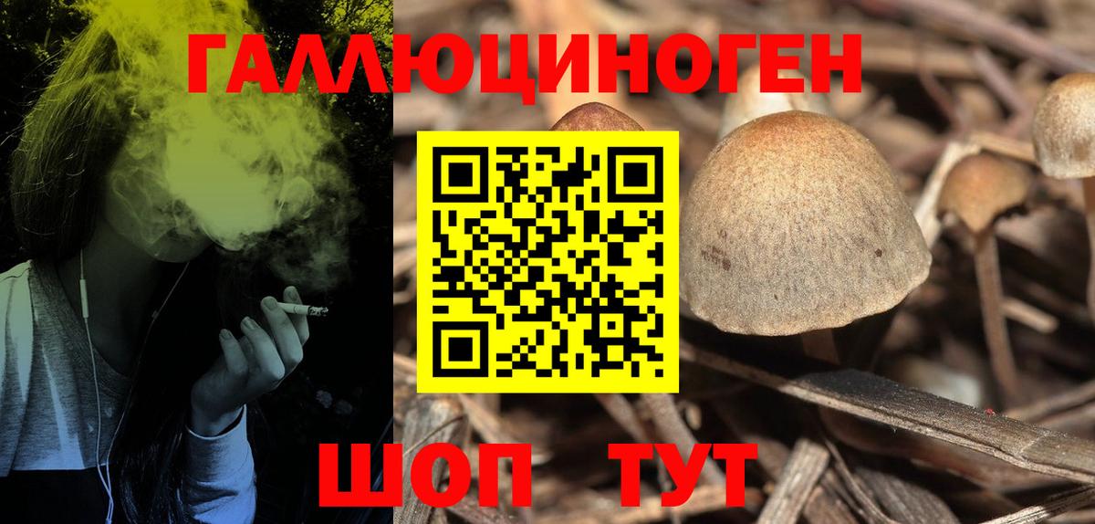 Галлюциногенные грибы Cubensis Красногорск