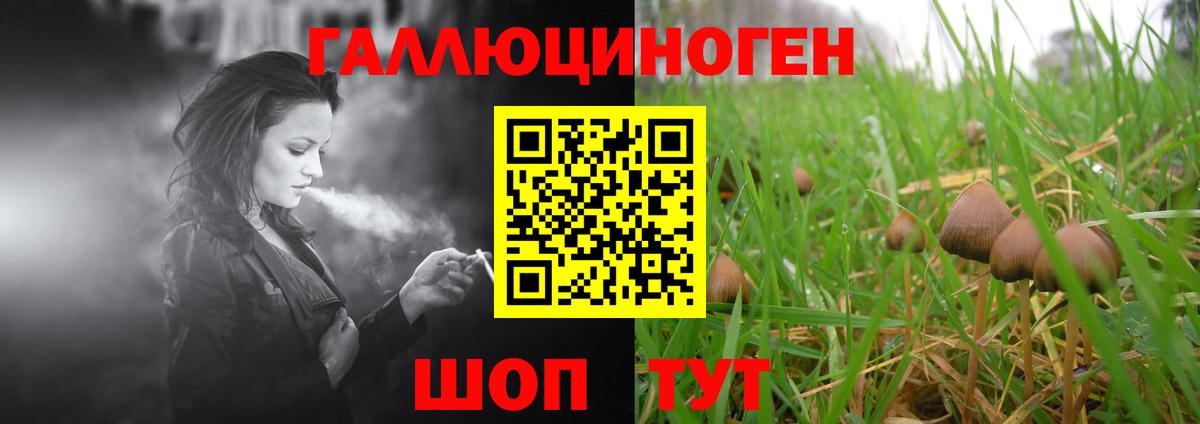 Красногорск  Псилоцибиновые грибы мухоморы  Вход с VPN  Псилоцибиновые грибы Magic Shrooms 