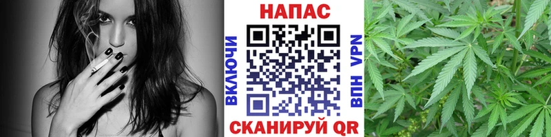 Бошки Шишки Amnesia  Красногорск 